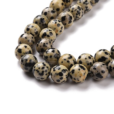 Natural Dalmatian Jasper Beads Strands G-Q462-10mm-30-1