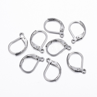 Tarnish Resistant 304 Stainless Steel Leverback Earring Findings LS-STAS-H376-100-1