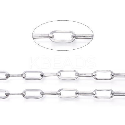Tarnish Resistant 304 Stainless Steel Paperclip Chains CHS-D030-02P-1