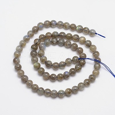 Natural Labradorite Round Bead Strands G-M262-5mm-09-1