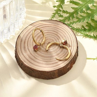 Ion Plating(IP) 304 Stainless Steel Micro Pave Cubic Zirconia Hoop Earrings STAS-R004-02G-01-1