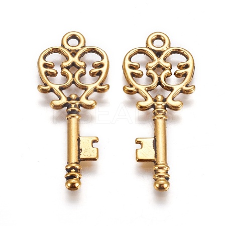 Tibetan Style Alloy Pendants GLF11137Y-1