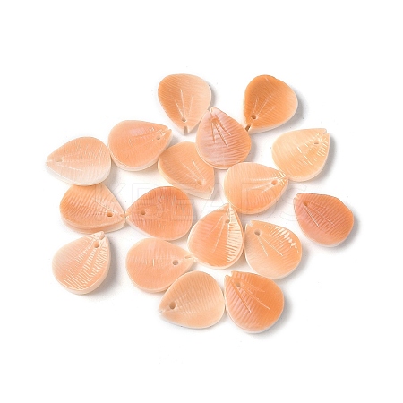 Natural Sea Shell Carved Leaf Charms SSHEL-C013-02A-1