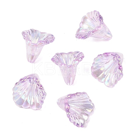 Transparent Acrylic Bead Caps OACR-G054-03K-1