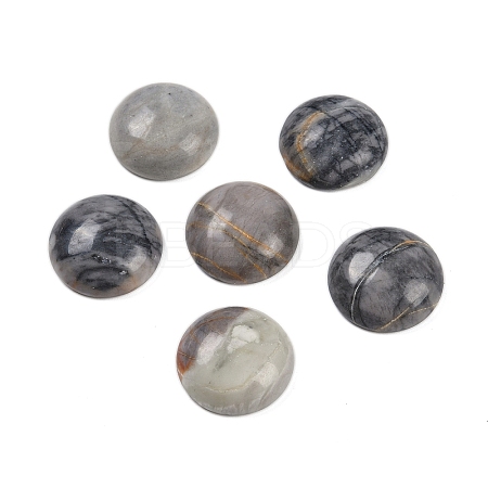 Natural Picasso Jasper Cabochons G-T020-18mm-42-1