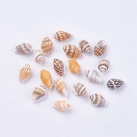 Shell Beads BSHE-P026-35-1