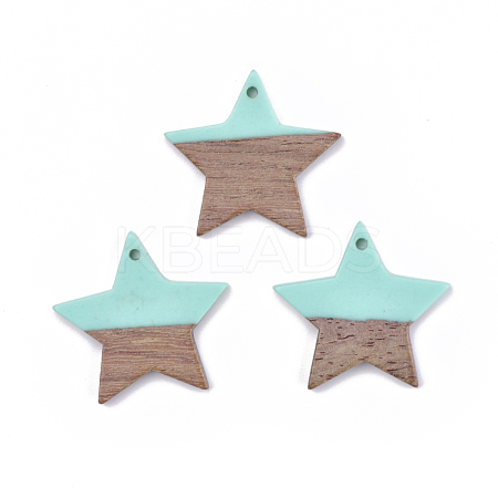 Resin & Walnut Wood Pendants RESI-T023-23C-1