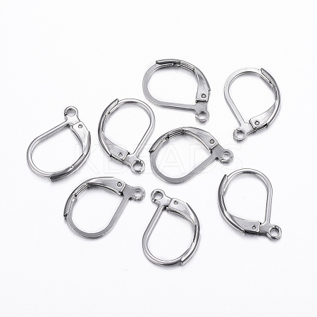 Tarnish Resistant 304 Stainless Steel Leverback Earring Findings LS-STAS-H376-100-1