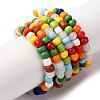 Handmade Lampwork Beads Strands BLOW-K001-01A-07-2