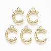 Alloy Pendants PALLOY-S137-001C-NR-2