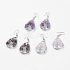 Natural Gemstone Dangle Earrings EJEW-P136-A-1
