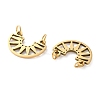 Ion Plating(IP) 304 Stainless Steel Charms STAS-Q333-30G-2