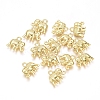Electroplated Alloy Charms X-PALLOY-G267-02G-1