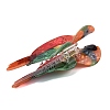 Acrylic Claw Hair Clips for Women Girls PHAR-I011-03-3