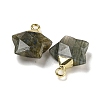 Natural Labradorite Pendants G-P540-01G-06-2