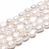 Natural Cultured Freshwater Pearl Beads Strands PEAR-N028-03-2