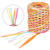 6 Colors Raffia Paper Cords OCOR-WH0063-110A-1