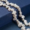 Natural Baroque Pearl Keshi Pearl Beads Strands PEAR-Q004-31-5
