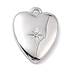 Brass Micro Pave Cubic Zirconia Charms ZIRC-I054-14P-03-1