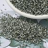 MIYUKI Delica Beads Small SEED-JP0008-DBS0048-1