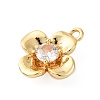 Brass Pave Clear Cubic Zirconia Charms LS-KK-V016-20G-2