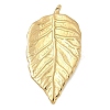 304 Stainless Steel Big Pendants STAS-D127-20C-G-1