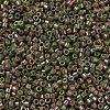 MIYUKI Delica Beads SEED-JP0008-DB0133-3