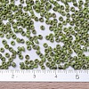 MIYUKI Round Rocailles Beads SEED-JP0008-RR4515-4