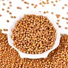 Picasso Glass Seed Beads SEED-N012-04B-2