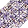 Frosted Natural Amethyst Beads Strands G-K389-C25-01-2