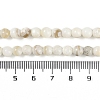 Natural Cultured Freshwater Shell Beads Strands BSHE-H109-03C-5