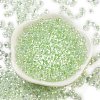 6/0 Inside Colours Fringe Glass Seed Beads SEED-A034-03E-2