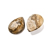 Natural Picture Jasper Cabochons G-B085-03B-10-2