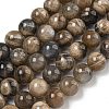 Natural Black Moonstone Beads Strands G-Q183-A01-02-2