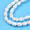 Natural Cultured Freshwater Pearl Beads Strands LS-PEAR-N012-02N-4