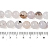Natural Dendritic Agate Beads Strands G-A248-A07-04-5