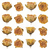 10Pcs Preserved Rose Pendants KY-TA0001-59D-2