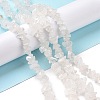 Natural Quartz Crystal Chips Beads Strands X-F019-1-3