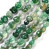 Natural Green Onyx Agate(Dyed & Heated) Beads Strands G-P497-01C-30-1