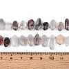 Natural Botswana Agate Beads Strands G-Z091-A30-5