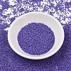 MIYUKI Delica Beads X-SEED-J020-DB2359-2