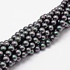Shell Pearl Bead Strands X-BSHE-L025-05-6mm-1
