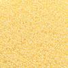 TOHO 11/0 Round Beads X-SEED-TR11-0902-2