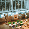 14Pcs 7 Styles Plastic Mini Bonsai Display Decorations DJEW-GA0001-11-6