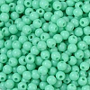Opaque Acrylic Beads SACR-A007-01C-23-3