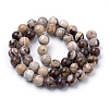 Natural Zebra Jasper Beads Strands G-S259-30-6mm-2