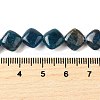 Natural Apatite Beads Strands G-Q026-D01-01-5