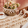 5M Polyester Pom Pom Ball Decorative Tassel Ribbons OCOR-OC0001-47-5