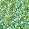 Transparent Glass Round Seed Beads X1-SEED-B001-05A-10-3