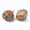 Natural Leopard Skin Jasper Pendants G-N332-50-02-3